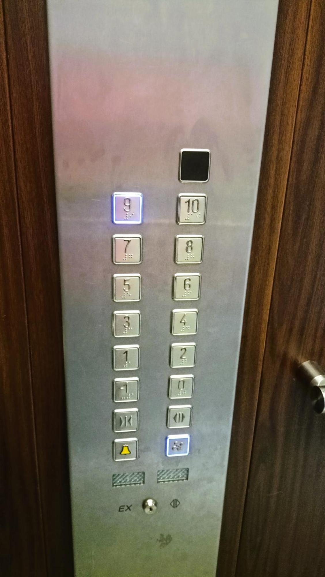 Drzewna Apartamenty - Wladyslawa Zielona Góra Eksteriør billede
