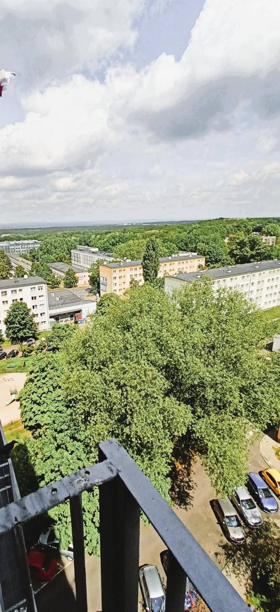 Drzewna Apartamenty - Wladyslawa Zielona Góra Eksteriør billede