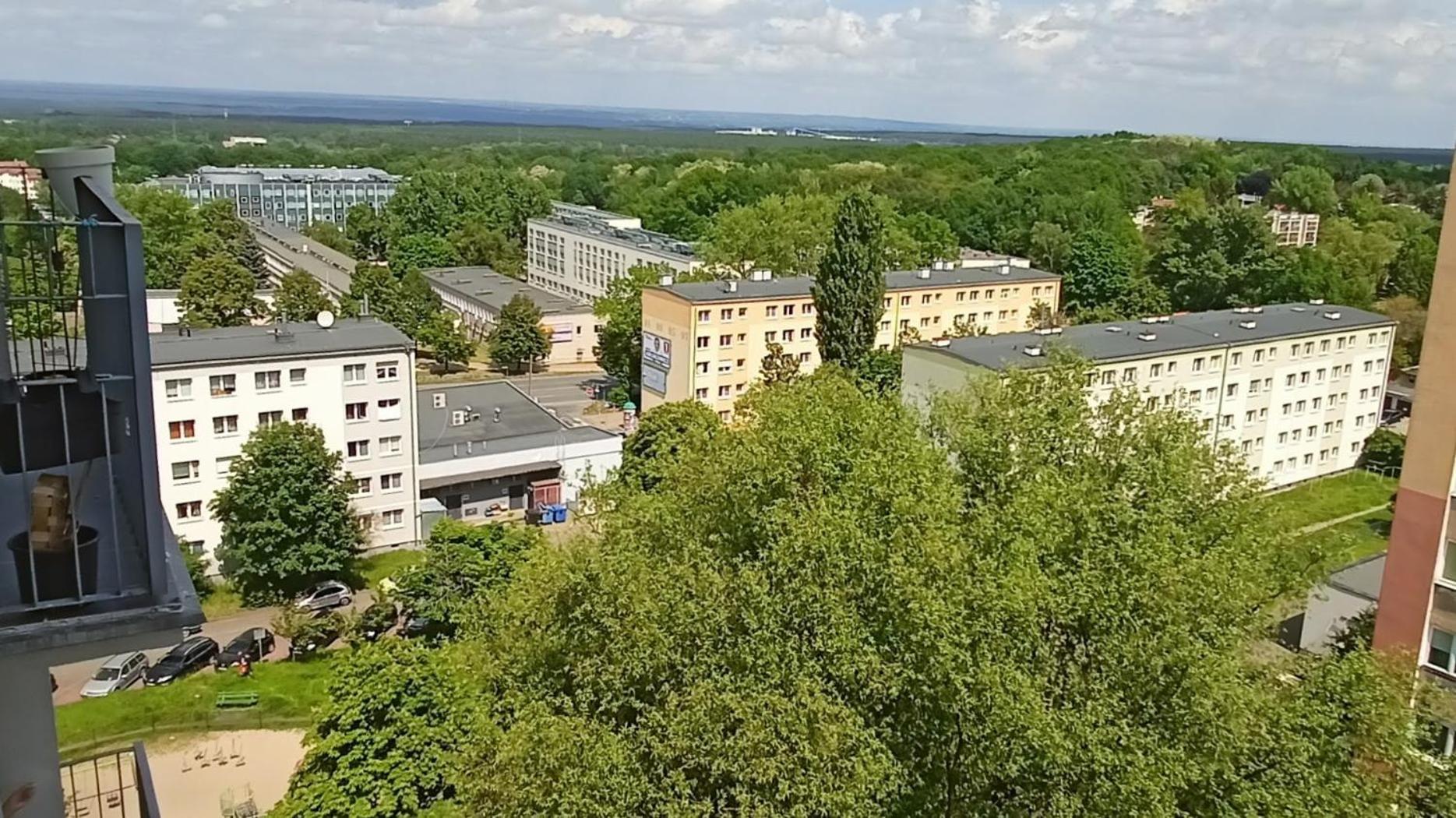 Drzewna Apartamenty - Wladyslawa Zielona Góra Eksteriør billede