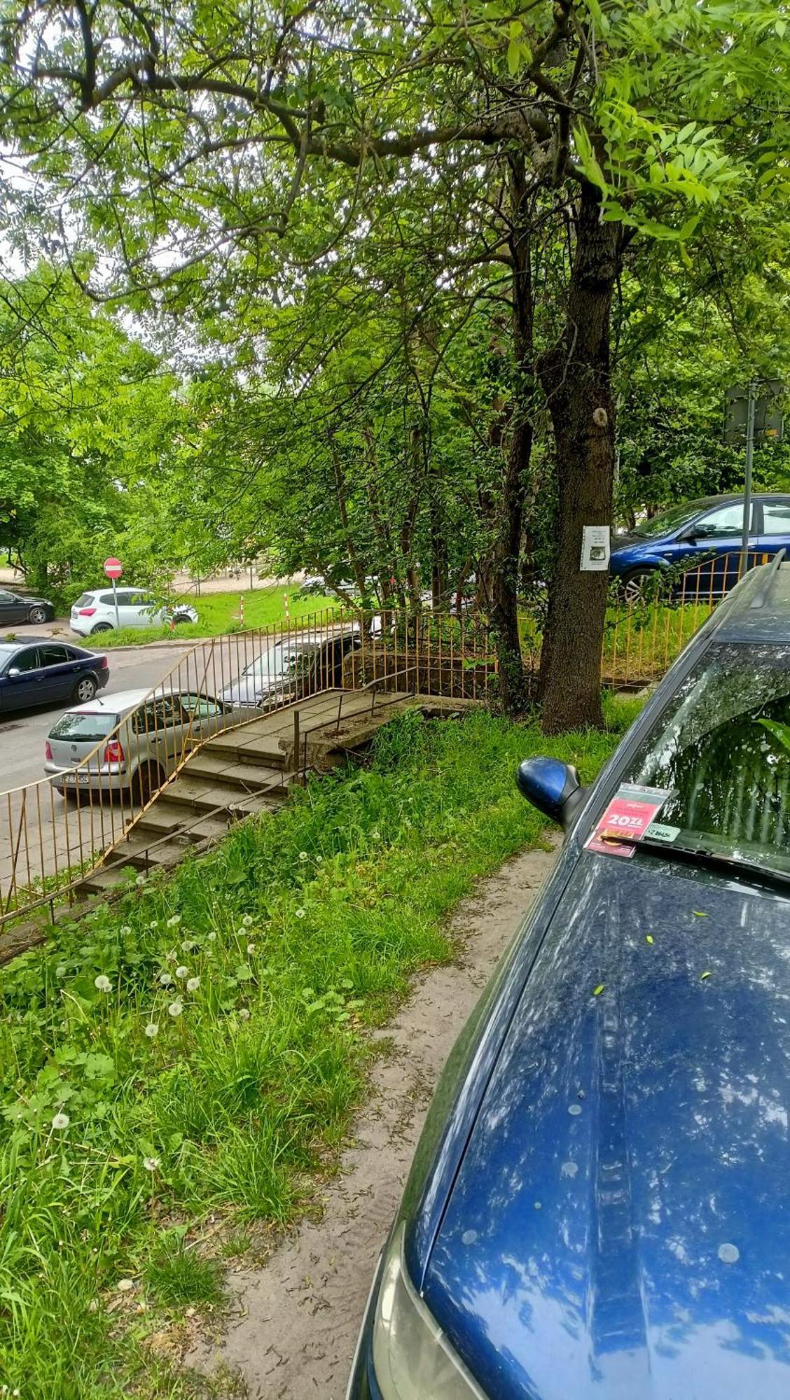 Drzewna Apartamenty - Wladyslawa Zielona Góra Eksteriør billede