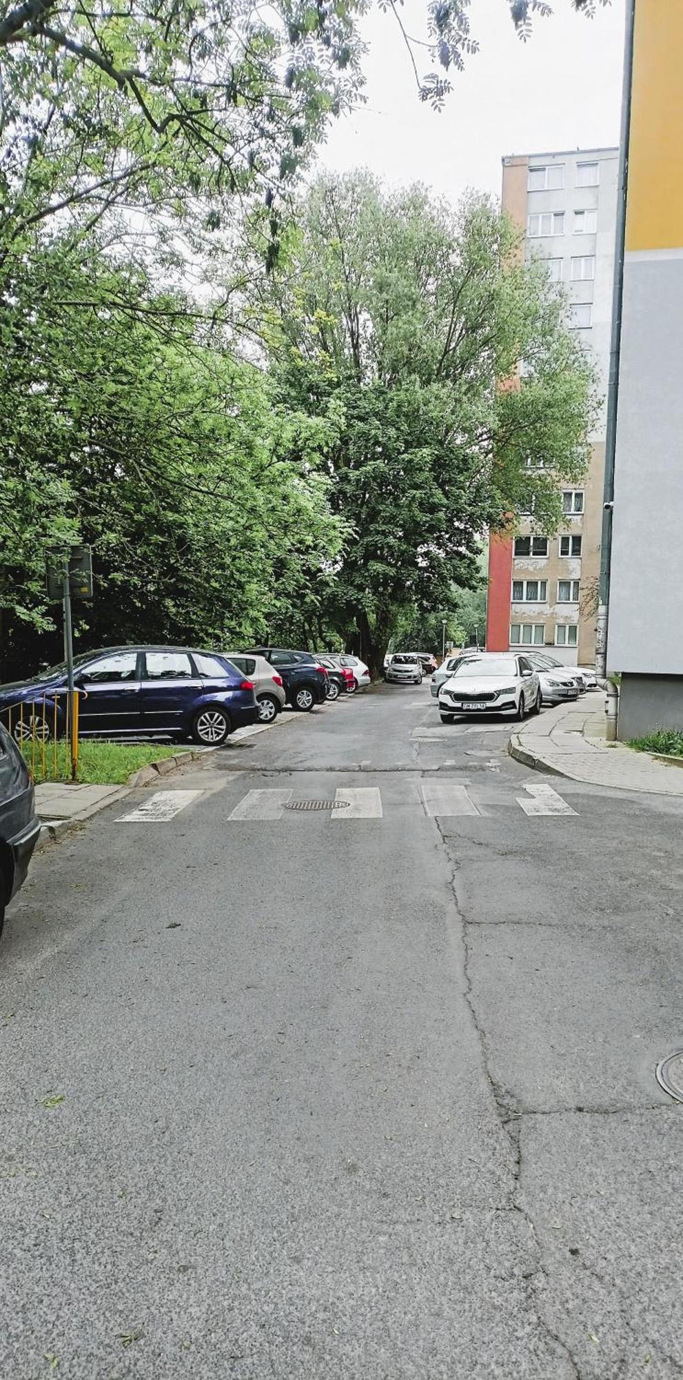 Drzewna Apartamenty - Wladyslawa Zielona Góra Eksteriør billede